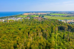 Gespensterwald in Richtung Nienhagen