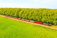 Molli-Bahn zwischen Kühlungsborn und Bad Doberan