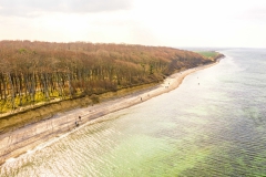 Gespensterwald östlich von Börgerende im Februar